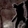 Yowie - postrach Gór Błękitnych