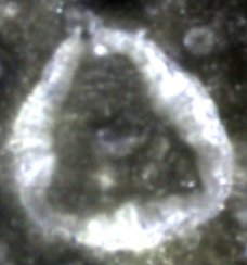 Krater Ukert