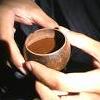 Mojżesz a ayahuasca 
