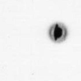 Fotografie UFO z Wicia (1983): Nowe fakty